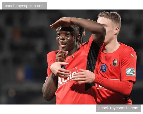 官方：雷恩边锋多库腿筋轻微拉伤，初步评估因过度冲刺导致，将休战10-14天