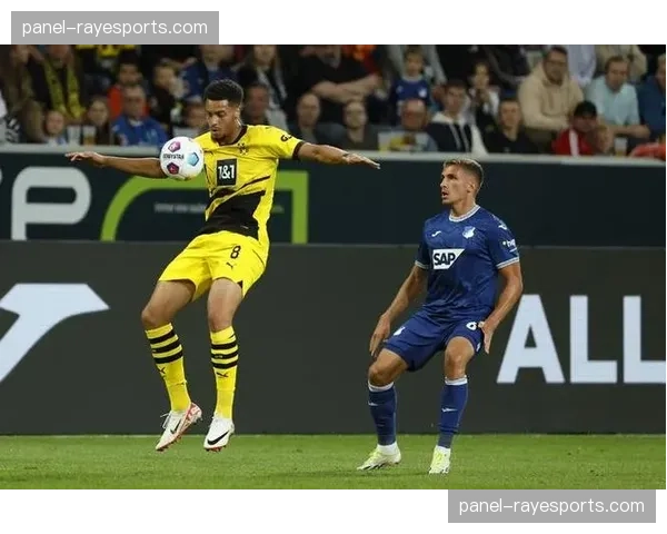 从绝杀到被绝杀：复盘多特蒙德与霍芬海姆的进球大战