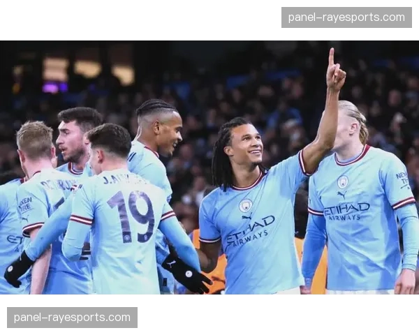 曼城6票阿森纳2票，专家看好蓝月亮卫冕